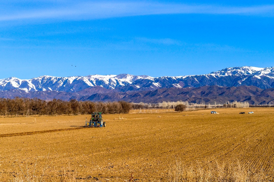 Source image accompanying: Technological innovation empowers XPCC's leading agricultural production