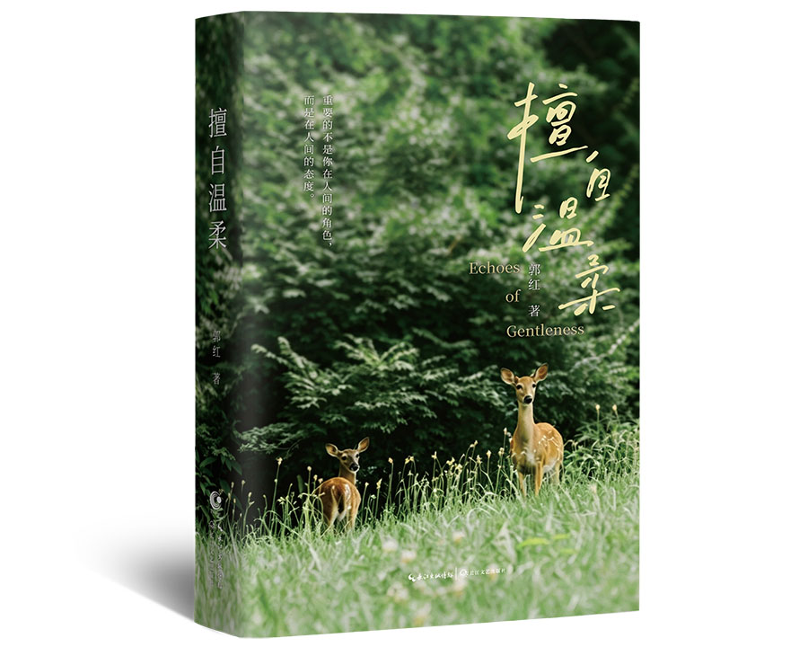 Source image accompanying: Essay collection explores the ordinary life