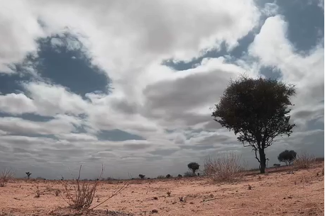 Source image accompanying: El Nino raises risk of food insecurity in arid and semiarid regions of Kenya