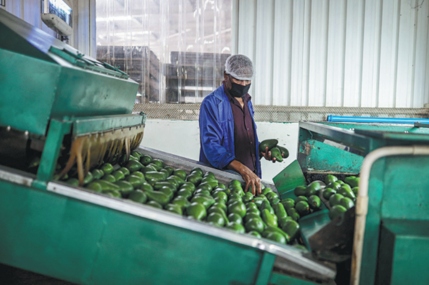 Source image accompanying: China's consumption shift opens a new door for African exports